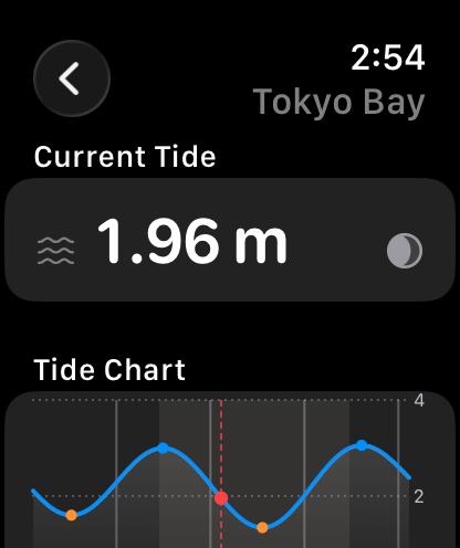 Today's tide on Apple Watch